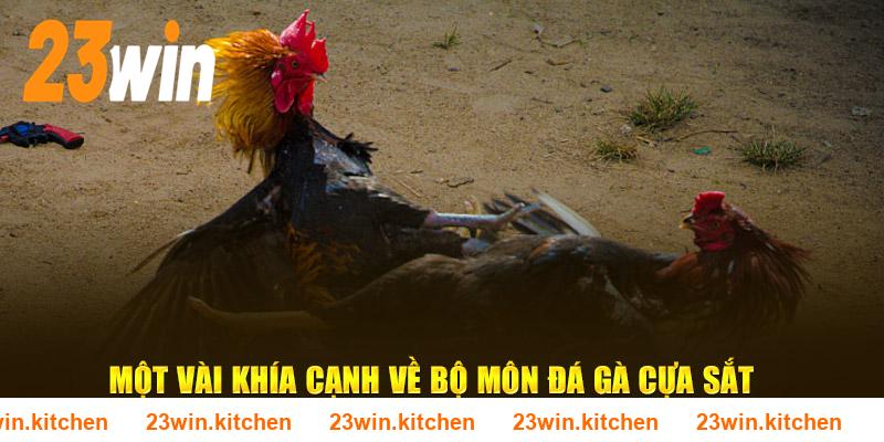Một vài khía cạnh về bộ môn đá gà cựa sắt tại 23WIN